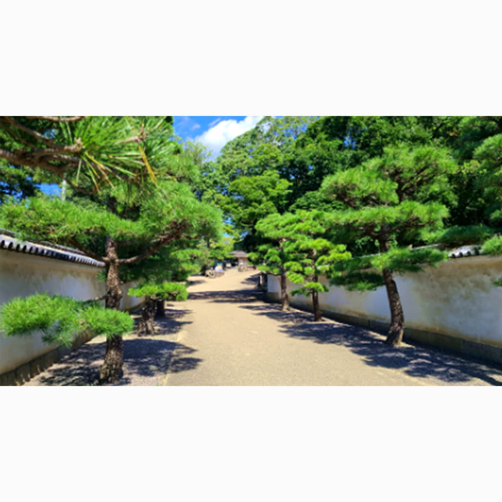 小割 大輝